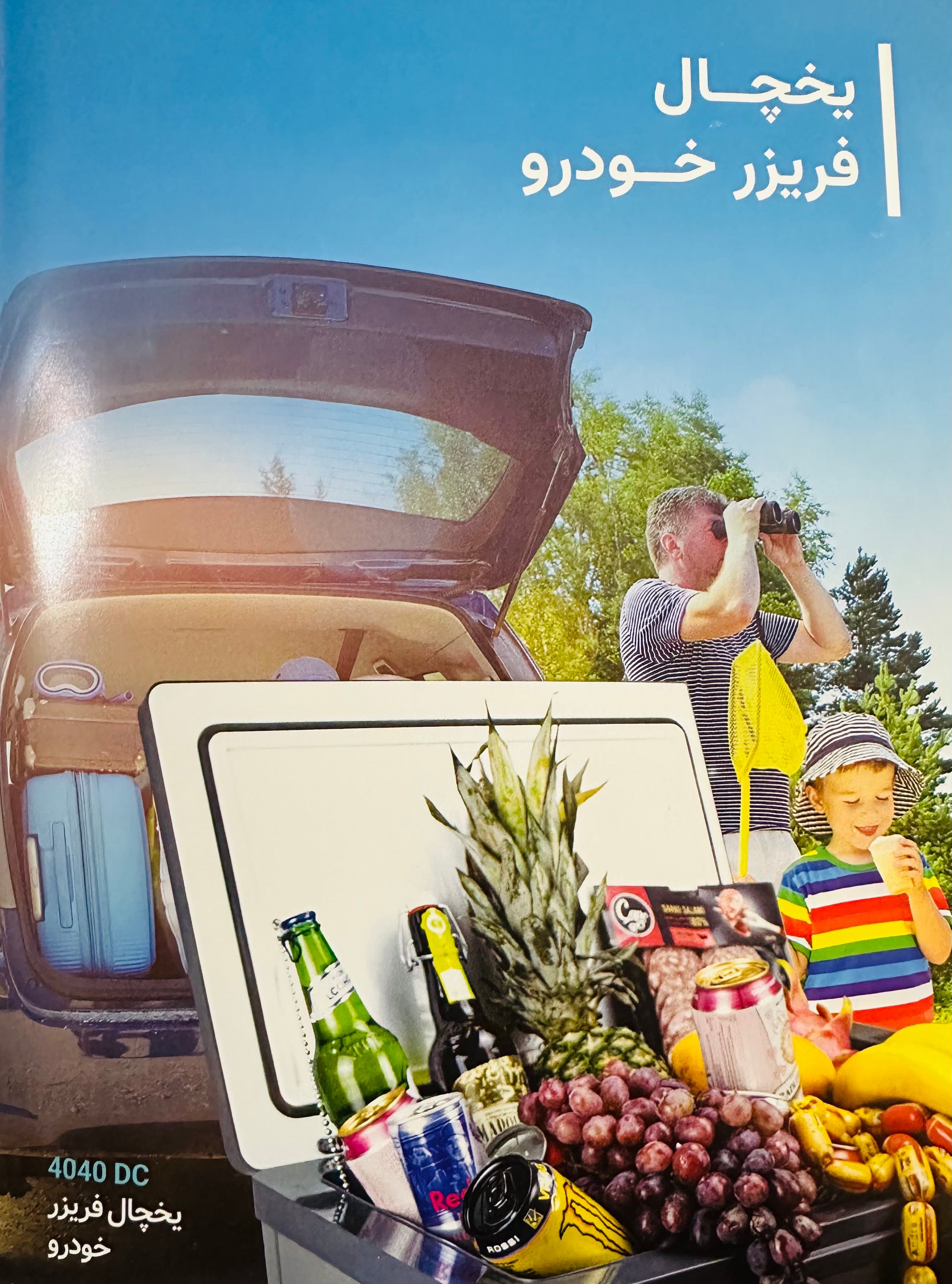 یخچال فریزر خودرو